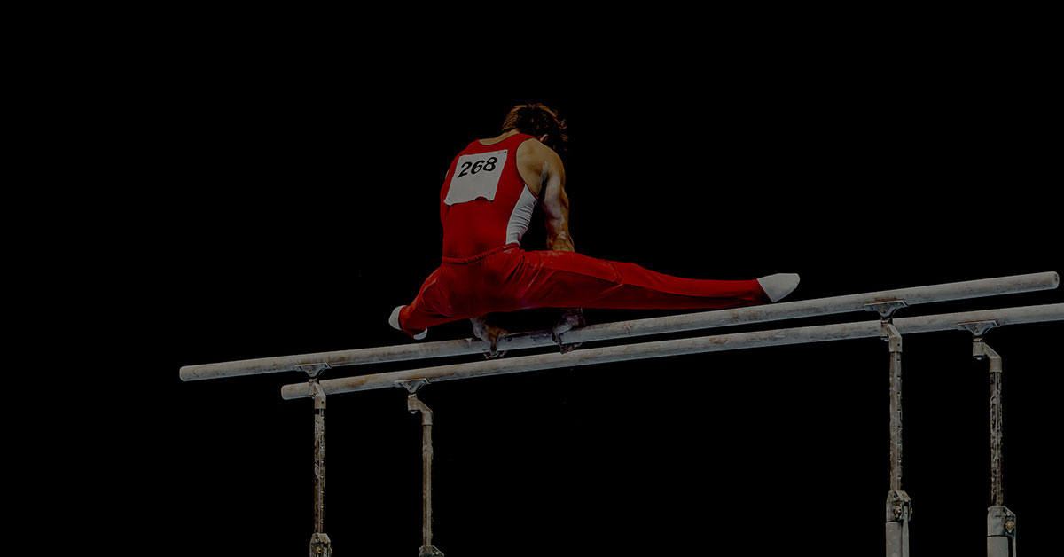 dimensional-accounting-structured-financial-reporting