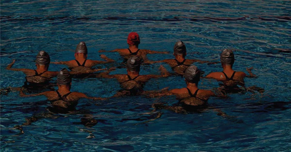 Synchronized swimmers performing as a team, representing coordinated financial reporting and performance visibility across multiple companies.