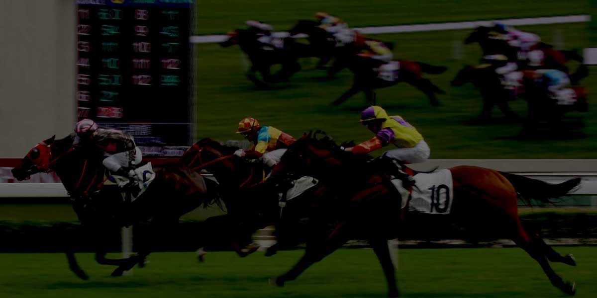 Horse race representing speed and agility in private equity investment management