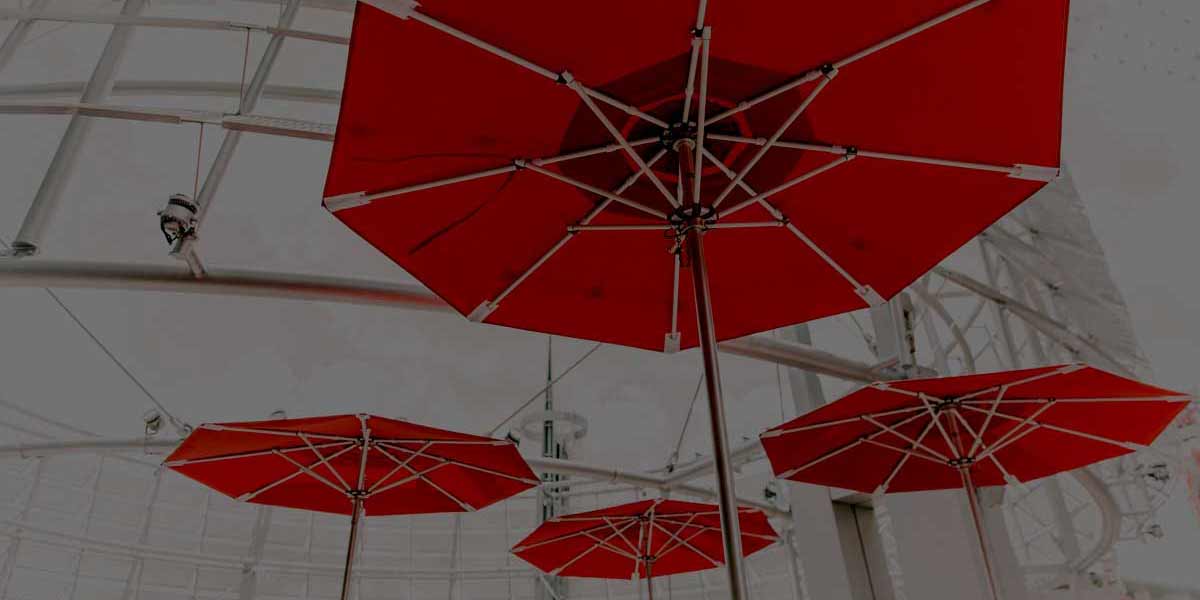 gravity-software-cpa-forecast-calls-for-a-cloud-solution-and-a-bright-future