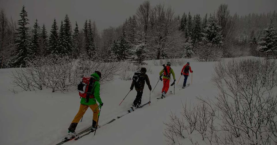 managing-multiple-companies-centralized-dashboard