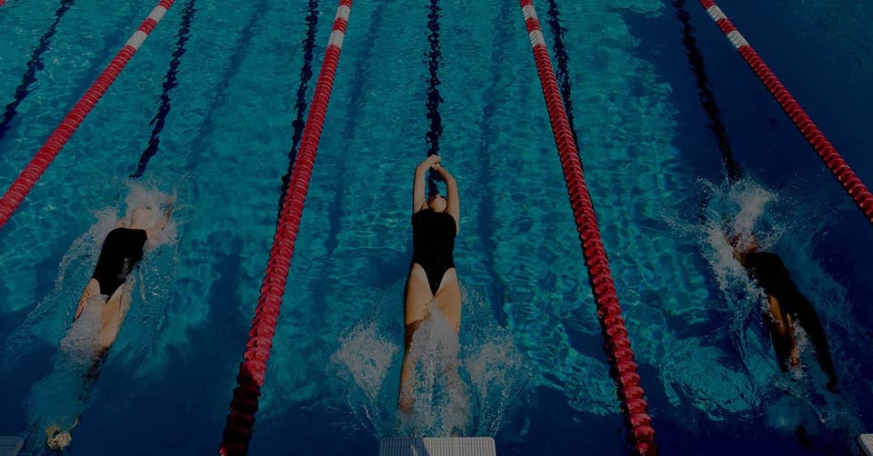 multi-entity-nonprofit-accounting-structured-coordination