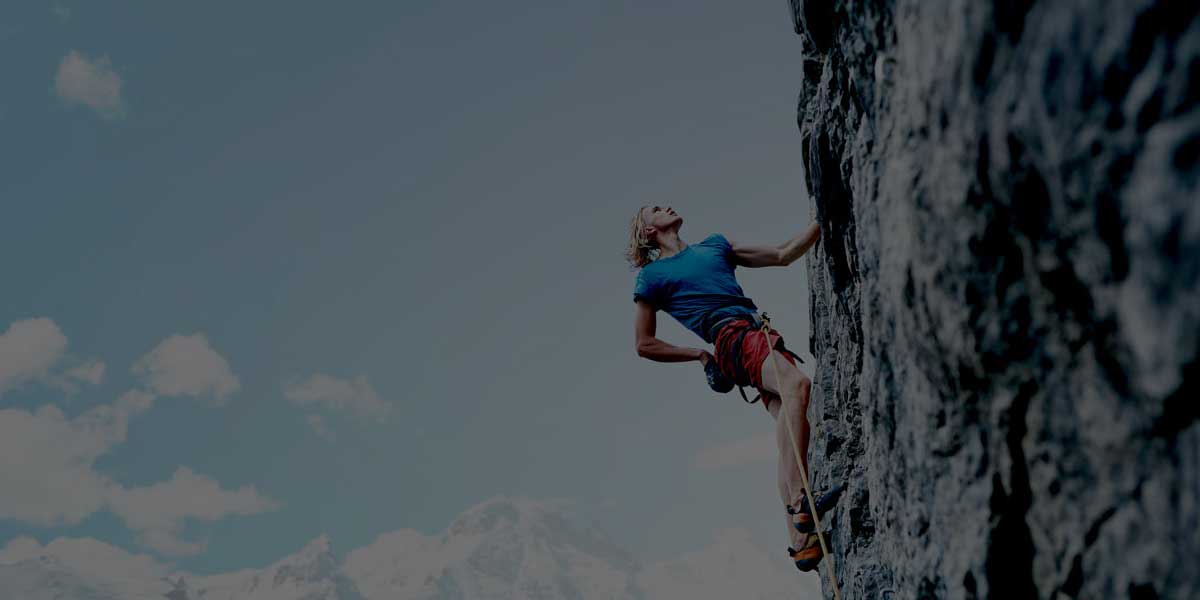 the-power-of-gravity-software-online-accounting-software-microsoft-power-platform