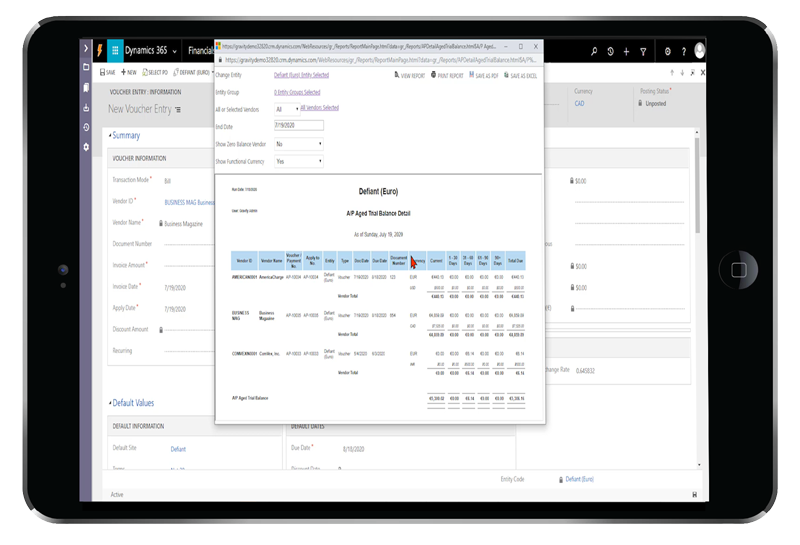 Gravity Software Multi-Currency Trial Balance showing accurate FX calculations and multi-entity financial consolidation